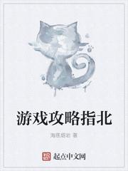 攻略游戏