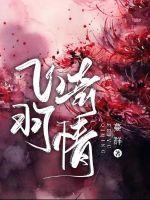 飞羽artist