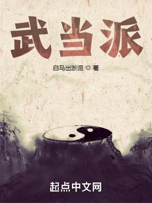 武当派太极拳