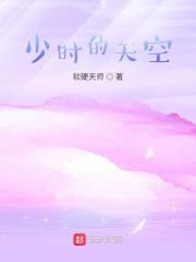 帕尼尼简介