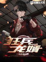龙婿狂兵完整版