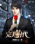 重生完美时代后续
