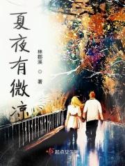 夏夜微凉免费阅读