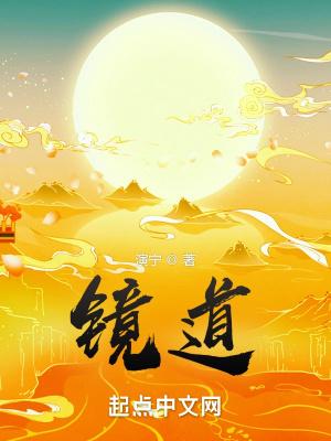 镜道镜片属于什么档次