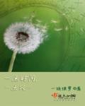 时间一点点一点点