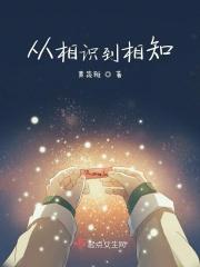从相识到相知的过程的句子