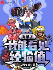 海贼之我在