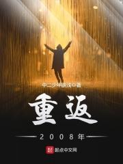 重返2008