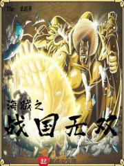 海贼王之战国无双