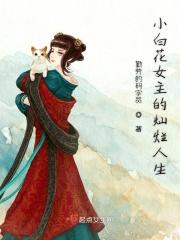 小白花女主名字
