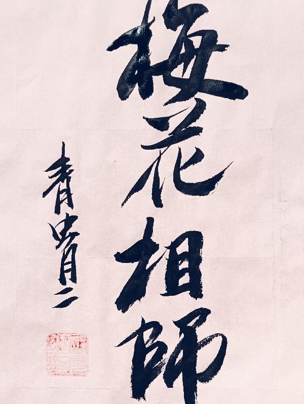 梅花象数是什么意思