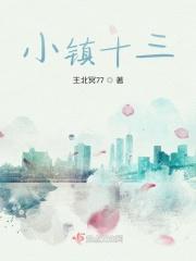 小镇警事十三年前什么案子