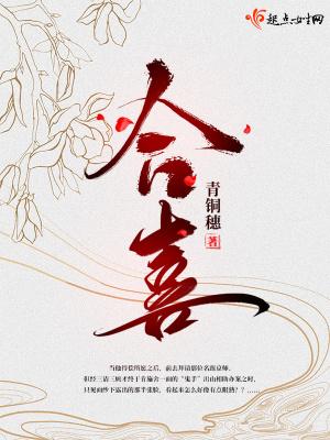 合喜txt全文