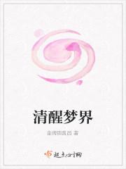清醒梦境第六章