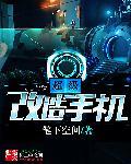 手机外形改装