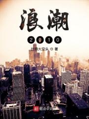 浪潮2008百度