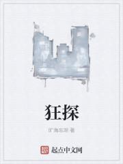 狂探人物详细介绍