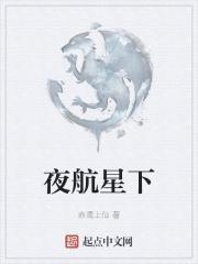 夜航星歌词解析