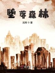 堕落0.8攻略