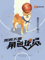 我真不是角色球员精校全集