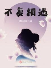 不复相遇什么意思