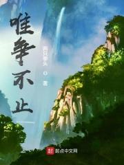 故天下莫能与之争的意思