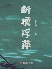 浮萍断处见山影翻译
