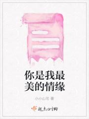 歌词你是我最美的情缘是什么歌