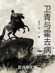 卫青霍去病关系