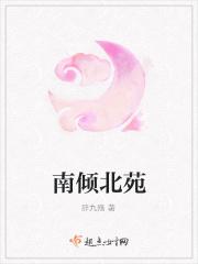 南倾是什么意思?