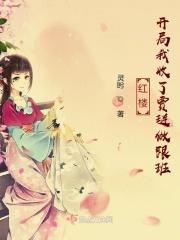 红楼开局找上贾宝玉飞卢