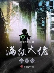 满级大佬txt