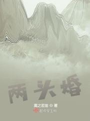 两头婚婚礼流程最全详细步骤