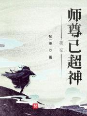 我家师尊已超神免费阅读