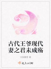 王爷是妻奴女主强大的穿越宠文