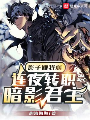 暗影子二觉阵容