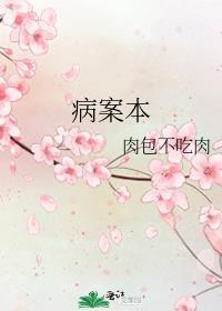 病案本讲的什么内容