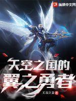 天空之翼是什么游戏