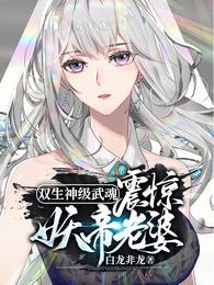 震惊妖帝老婆