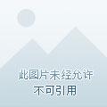 奥特开局钓到哥莫拉
