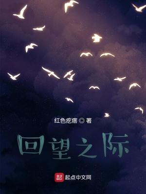 回望 释义