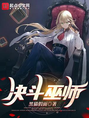 决斗法师卡组