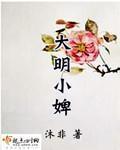 大明小婢免费