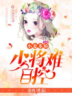 少将免费阅读全文