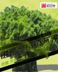 洪荒之容植万界