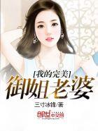 我的完美御姐老婆在线阅读