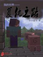 我的世界版
