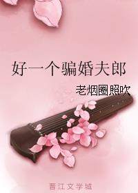 好一个骗婚夫郎txt书包网