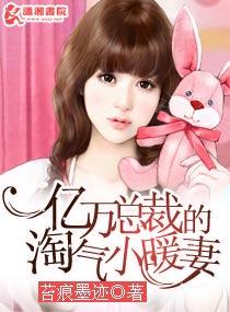 亿万总裁的淘气小暖妻全文免费阅读