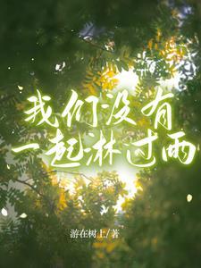 歌词是我们没有走到一起